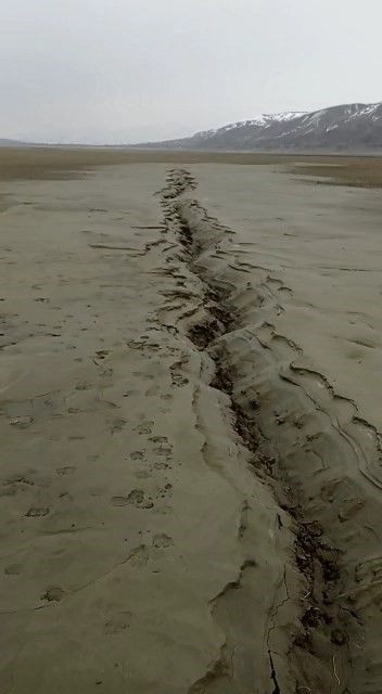 Dehşete düşüren görüntü! O gerçek gözler önüne serildi - Resim: 3