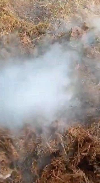 Korkutan görüntü sel sonrası yeraltından çıktı jandarma incelemeye geldi - Resim: 2