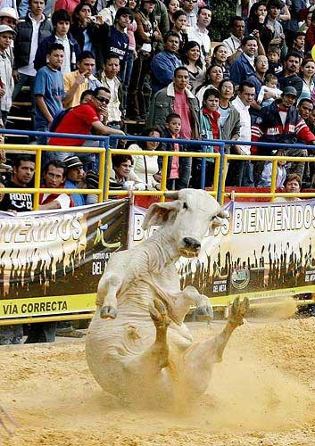 Fotoğraflar dile geldi - Resim: 3