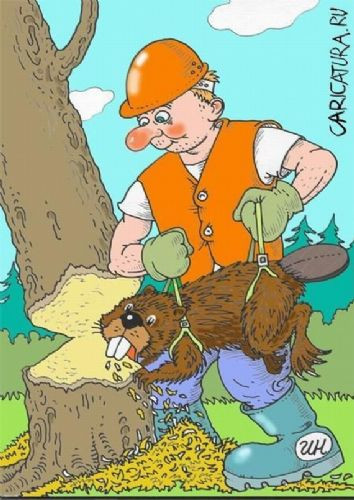 Gülmekten katılacağınız fotoğraflar! - Resim: 3