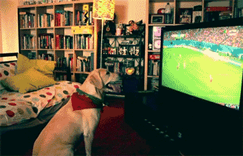 Haftanın en çok sevilen gifleri - Resim: 3