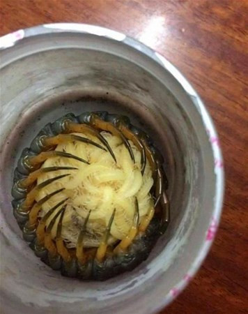 Başına ne geldiyse meraktan geldi deliğin içine girdi ve... - Resim: 4