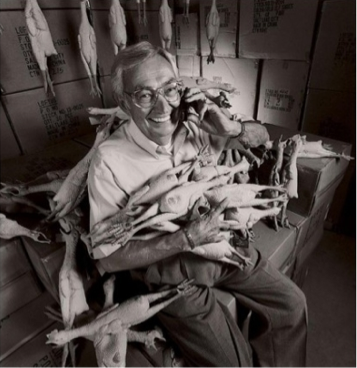 Dünyanın en garip meslekleri... - Resim: 4