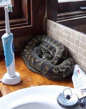 Bu ülkeye gidecekler dikkat yolda yürürken bile... - Resim: 2