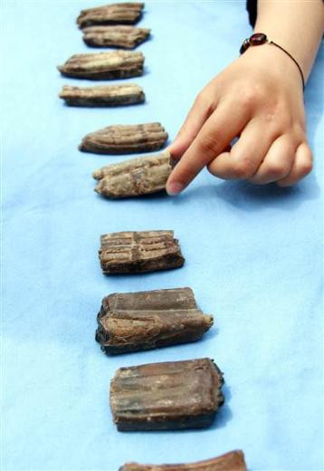 Bu fosil 2 milyon yıllık... - Resim: 2