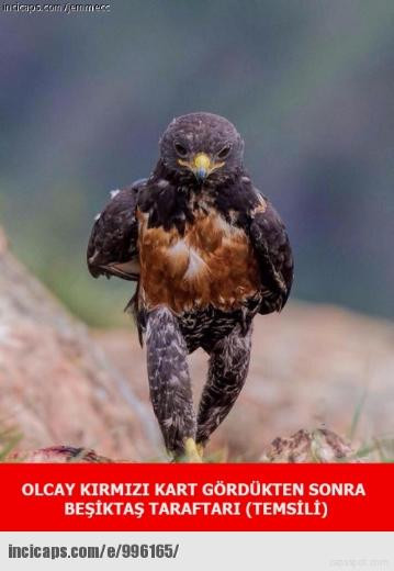 Derbi capsleri yıktı geçti! - Resim: 3