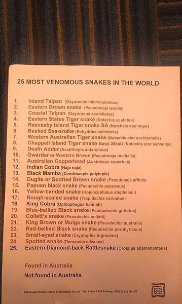 Tuvalete girip kapağını açınca ne yapacağını şaşırdı - Resim: 2