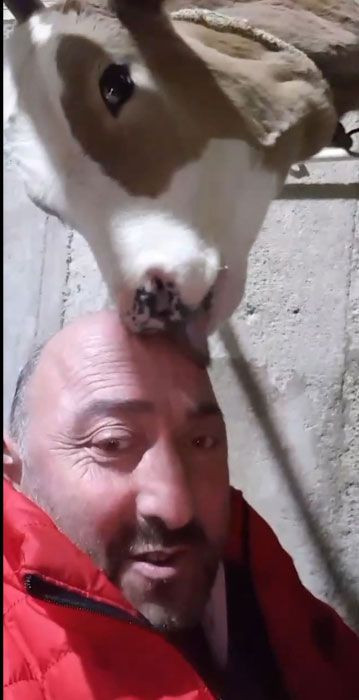 Trabzon'da başını buzağıya yalatan adamın iddiası: Saçlarım çıkıyor - Resim: 3