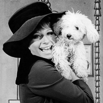 Ünlü sanatçı   50 bin dolara köpeğini klonlattı - Resim: 2