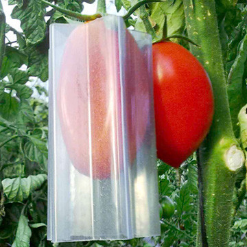 Sevgililer gününe özel kalp sebze ve meyveler - Resim: 1