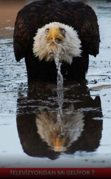 İftarı beklerken dedi böyle Ramazan capsleri görülmedi - Resim: 3