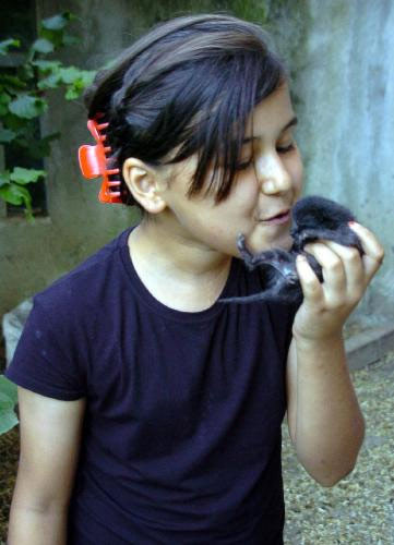 Kedi mi köpek mi? - Resim: 3