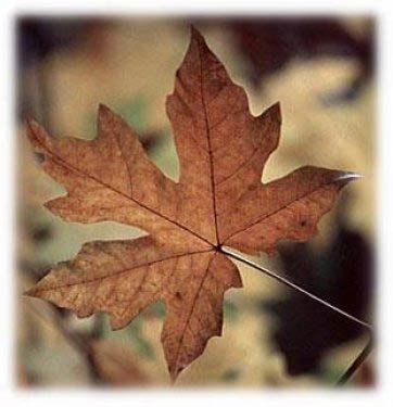 Gülme garantili en geyik espriler! - Resim: 1