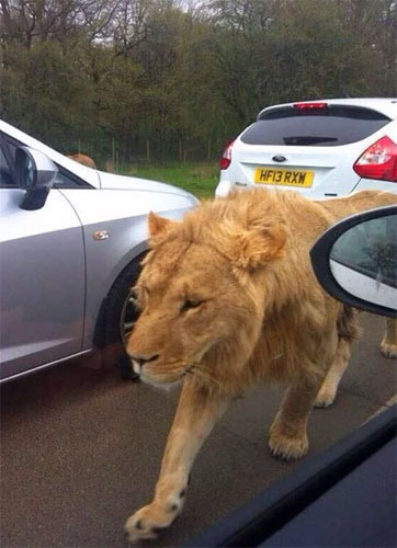 Bunlar neye uğradıklarını şaşırdı... - Resim: 2
