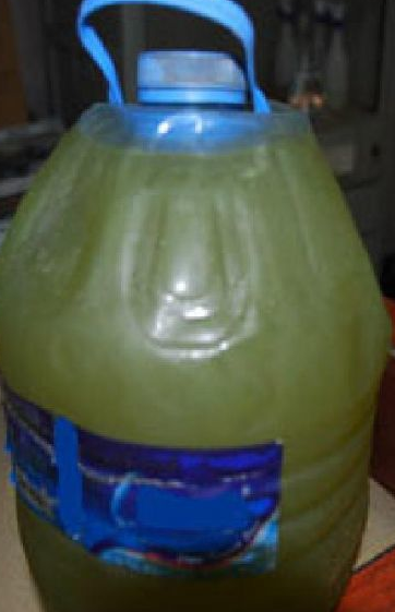 Eylem hazırlığındayken yakalandılar - Resim: 1