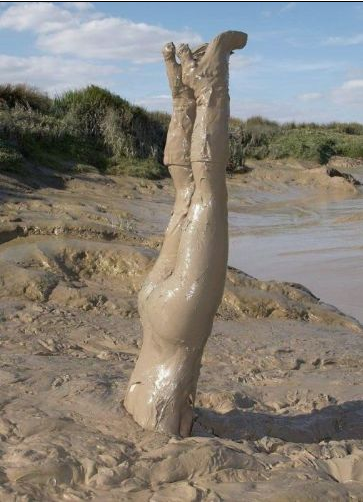 İnternette en çok tık alanlar - Resim: 2