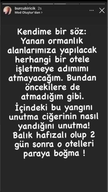 Türkiye'yi saran orman yangını için ünlülerden 'havadan müdahale istiyoruz' çağrısı - Resim: 3
