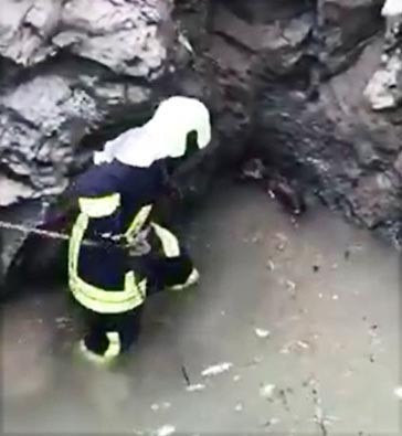 Kuyuya düşen tilki böyle kurtarıldı - Resim: 2
