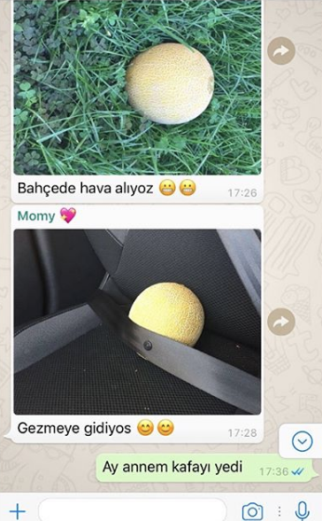 Sonunda bu da oldu bir aile kavun evlatlık aldı bakın neler oldu - Resim: 4