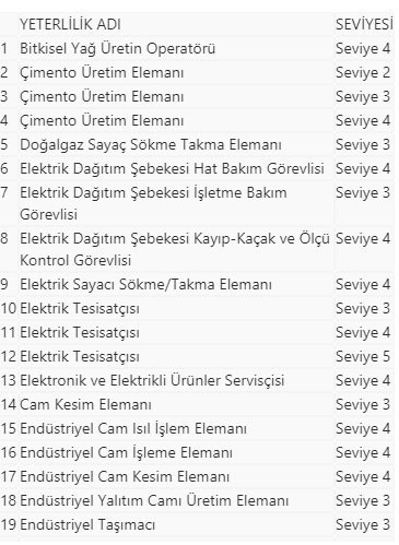 Sayı 183'e yükseldi! 40 mesleğe daha belge zorunluluğu getirildi - Resim: 0