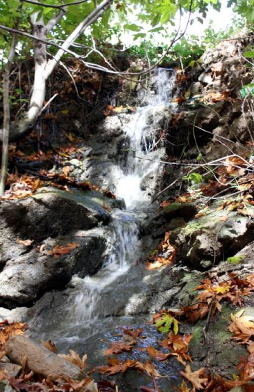 Görenleri büyüleyen saklı cennet - Resim: 3
