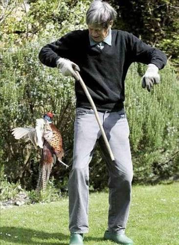 Hayvanların insanlara saldırdığı anlar - Resim: 1