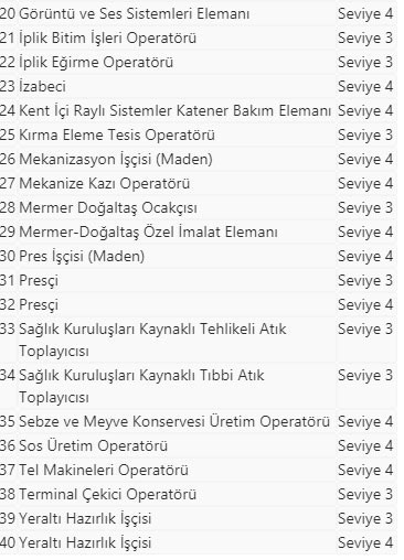 Sayı 183'e yükseldi! 40 mesleğe daha belge zorunluluğu getirildi - Resim: 1