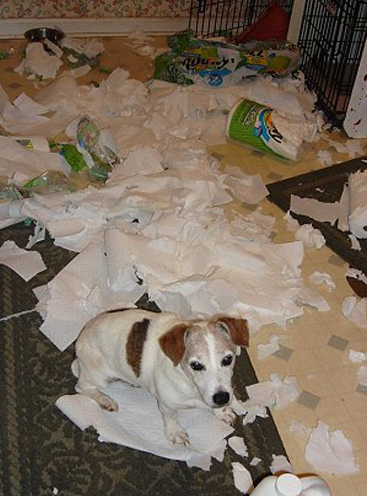 Yalnız kalıp sıkılınca! - Resim: 4