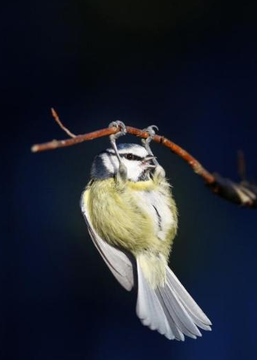 Haftanın unutulmaz fotoğrafları - Resim: 3