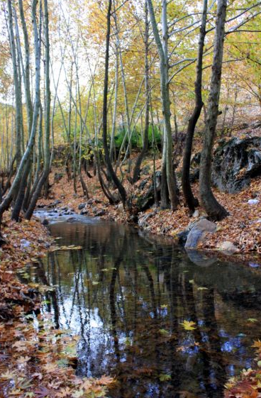 Görenleri büyüleyen saklı cennet - Resim: 1