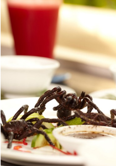 Mide bulandıran 20 yemek... - Resim: 4