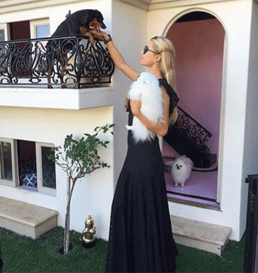 Paris Hilton paraya kıydı! Köpekleri için malikane yaptırdı - Resim: 3