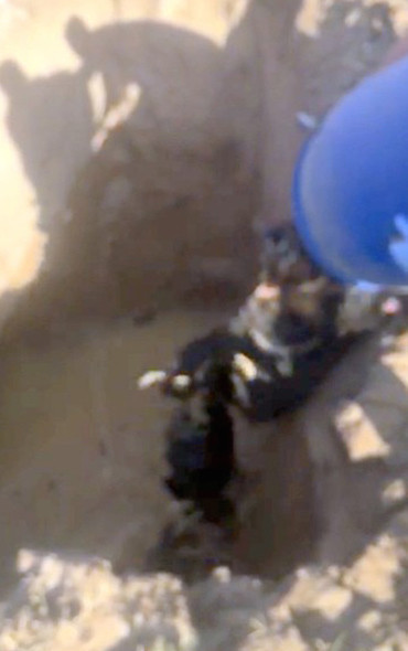 Bu iş böyle olmaz canlı canlı gömdüler  - Resim: 3