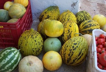 Vücudunuzu Ramazan'a hazırlayın - Resim: 3