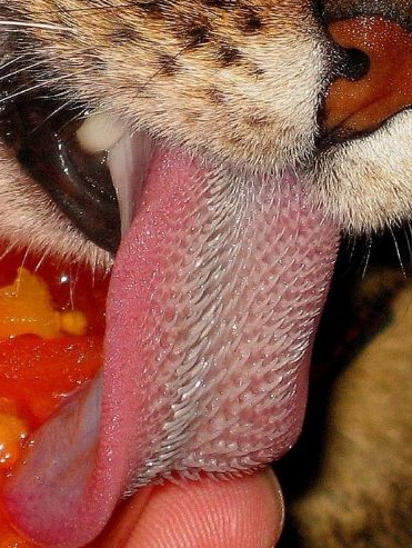 Sanal dünyanın tık rekoru kıran fotoğları - Resim: 2