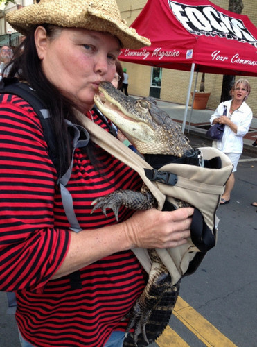 Kameralara poz veren hayvanlar... - Resim: 2