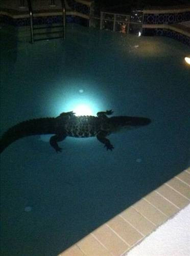 Bu adam sizi çok şaşırtacak! - Resim: 4