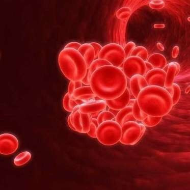 Kan grubu '0' olanlarda kalp krizi daha düşük - Resim: 2