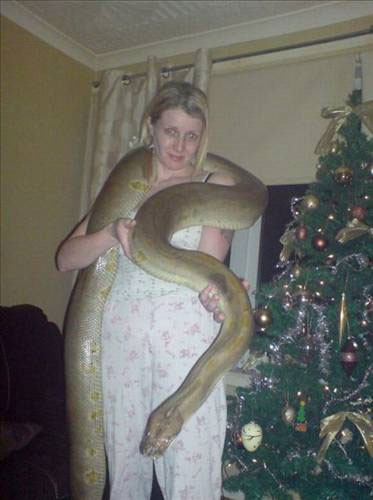 Bu hayvanlar evde beslenir mi? - Resim: 3