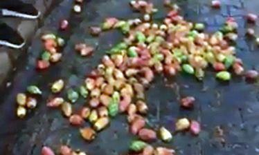 Zabıtanın tezgahtaki incirlerini döktüğü seyyar satıcı konuştu - Resim: 4