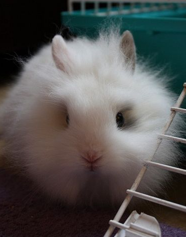 İnternetin en çok tıklanan kareleri - Resim: 3