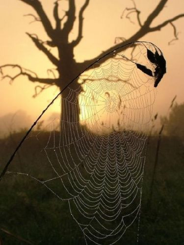 Şaşırtan fotoğraf kareleri - Resim: 3