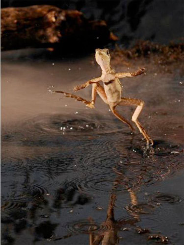 İnsan ruhunu okşayan doğal güzellikler! - Resim: 4