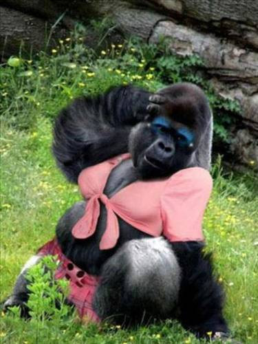 İnternetin en çılgın 100 karesi - Resim: 2