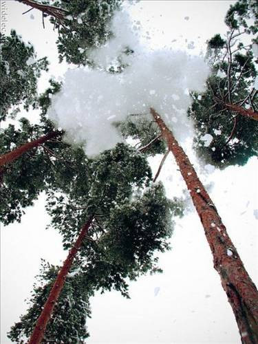 Tam zamanında çekilen fotoğraf! - Resim: 4