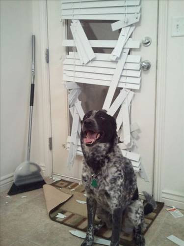 Sakarlığın bu kadarı! - Resim: 2