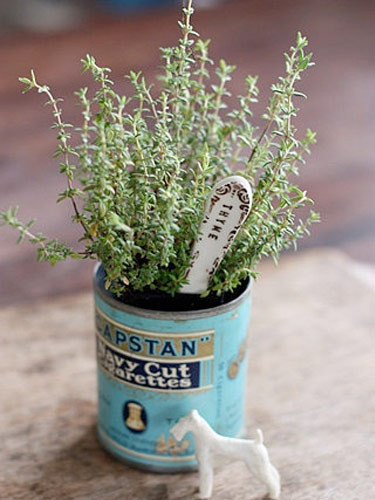 Cinsel güç için kaynatıp günde bir fincan için! - Resim: 1