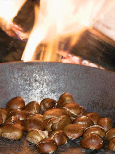 Kestane'nin kabuğu bile çok faydalı  - Resim: 2