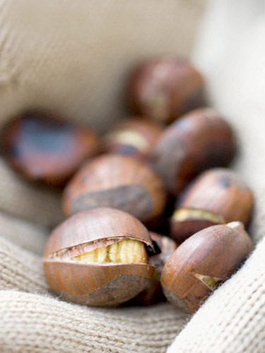 Kestane'nin kabuğu bile çok faydalı  - Resim: 3