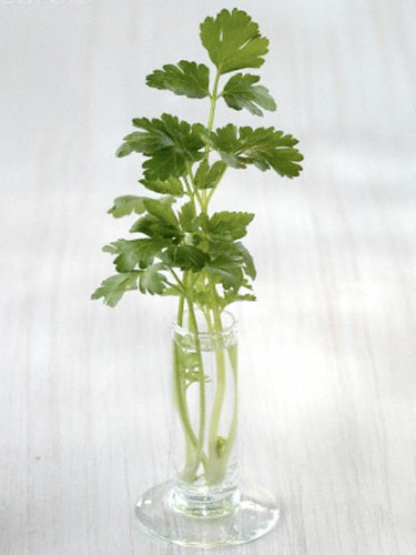 Bunları yemek böbreği temizliyor - Resim: 4